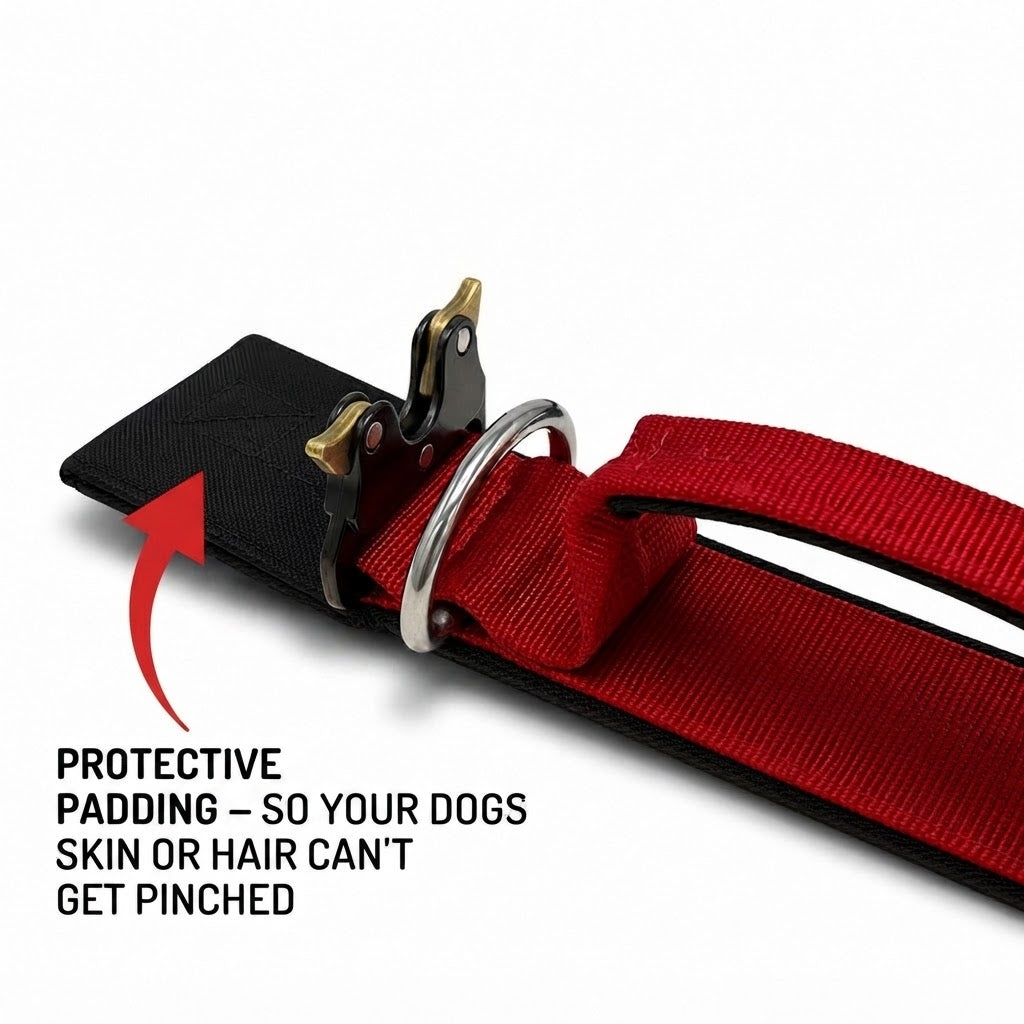 Bully Mode Collar