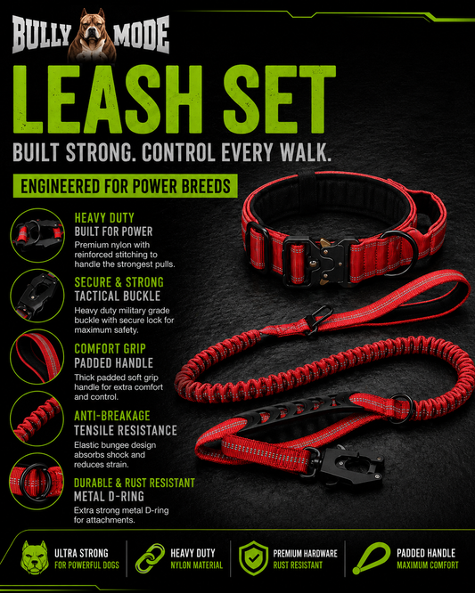 Collar and Leash Set