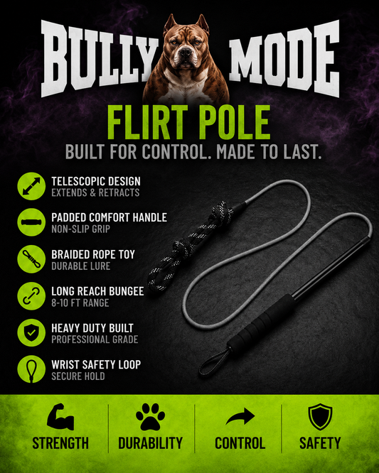 Bully Mode Flirt Pole