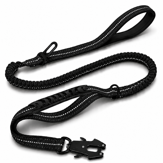 Bully Mode Bungee Leash