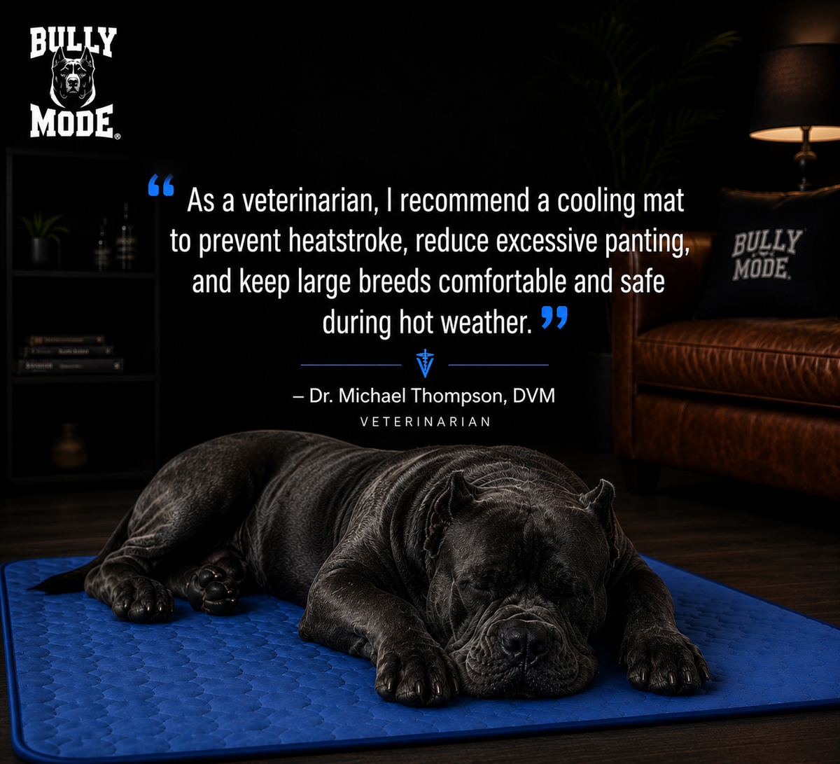 Cooling Mat