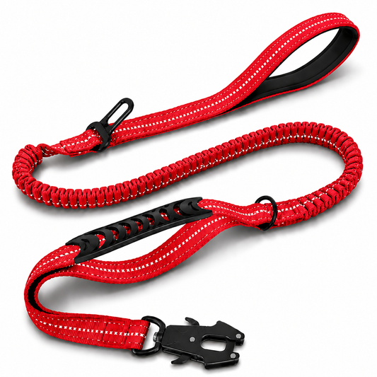 Bully Mode Bungee Leash