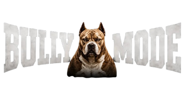 Bully Mode Performance