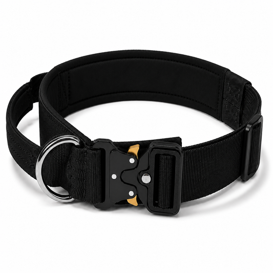 Bully Mode Collar