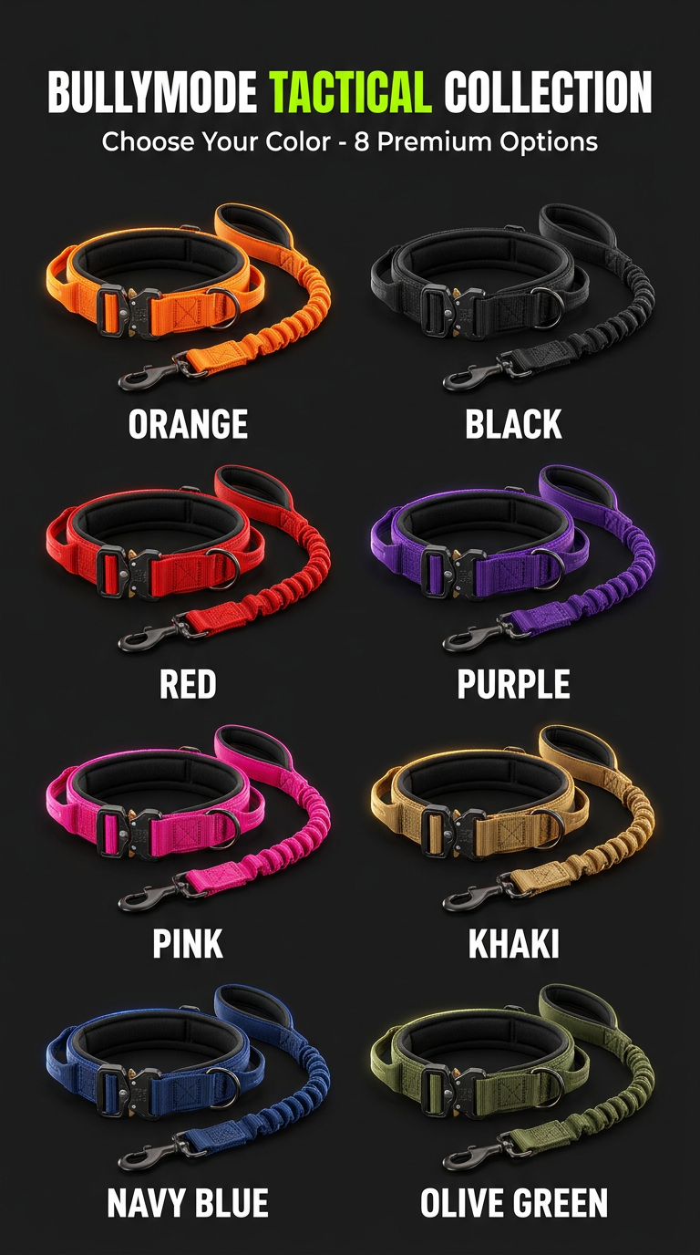 Bully Mode Leash