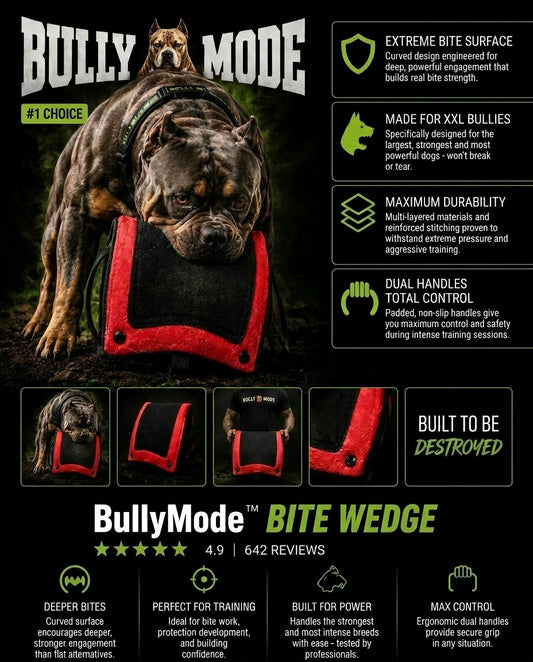 Bite Wedge Pillow