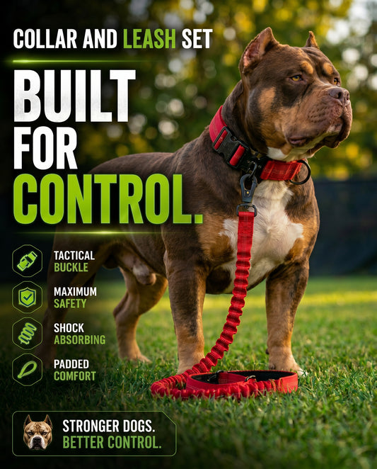 Collar and Leash Set