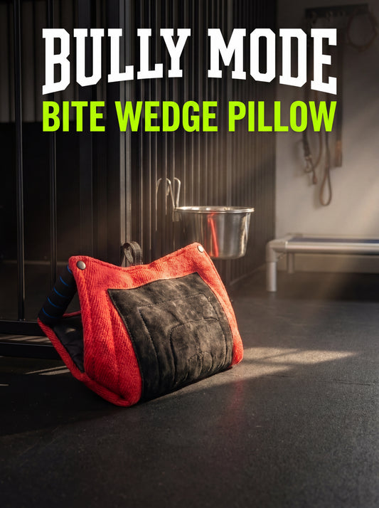 Bite Wedge Pillow